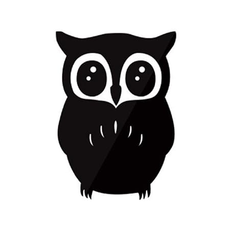 Pu Ran Diy Removable Acrylic Cartoon Owl Mirror Wall Art Stickers