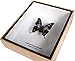 FRAMED REAL BEAUTIFUL GRAPHIUM WEISKEI BUTTERFLY DISPLAY INSECT TAXIDERMY