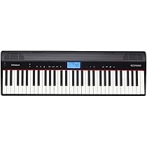 Roland, 61-Key Digital Pianos - Home (GO-61P) : Amazon.ca: Musical