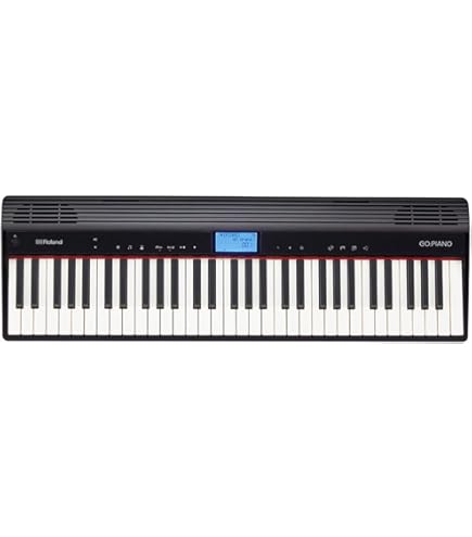 Amazon.com: Roland Carrying Bag for 61-Note Go-Series Keyboard (CB