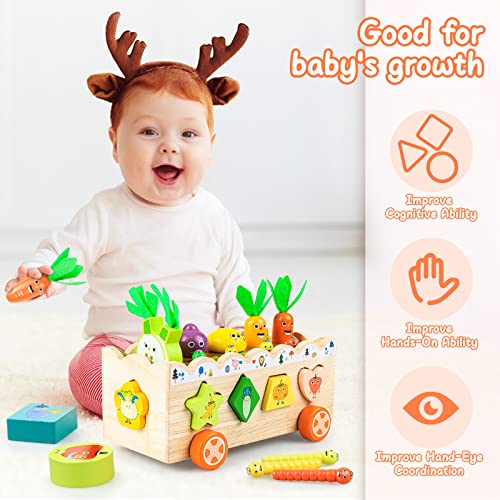 Wooden Montessori Toys for Toddler 15 Year Old, Educational Preschool Toys Learning Fine Motor