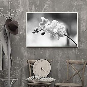 Framed Canvas Wall Art for Living Room, Bedroom Flower Closeup II Canvas Prints for Home Decoration Ready to Hang - 16x24 inches