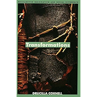 Transformations: Recollective Imagination and Sexual Difference book cover