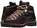 Danner Men's Mountain Light Boot