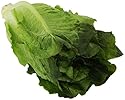 Organic Romaine Lettuce, 1 Head
