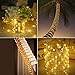 Aluvee Solar Rope String Light Outdoor,Garden Decoration Outdoor Waterproof Rope String Christmas Lamp Wedding Party Tree Xmas Decoration Tree Xmas (33ft/100LED,Warm White + PVC Tube)
