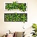 Artificial Flower-Wall Hanger 7.87 in 21.65 in, 3D Succulent Plants Moss on The Stone Green Leaves Grass Ferns with Frame Shape Vase Wall Decor, Black Frame