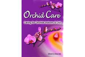 Orchid Care: Growing and Caring for Orchids Indoors & Out
