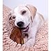 Downtown Pet Supply - Jumbo Pig Ears - Dog Dental Treats & Rawhide-Free Dog Chews - Healthy Coat & Skin Care, Cholesterol & Heart Health - Protein, Vitamins & Minerals - 10 Pack