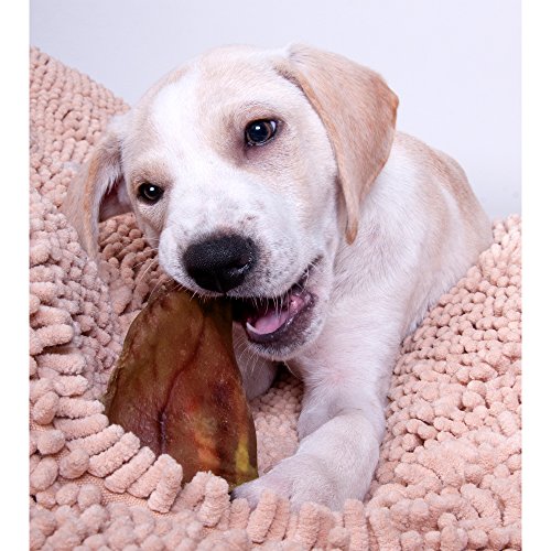 100% Natural, JUMBO Pig Ears, FDA & USDA Certified, Dog Treats Chew, (Size: 10 Pack), by Downtown Pet Supply (TM)