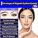 Avilana Magnetic Eyeliner and Magnetic Eyelashes Easy to Use False Lashes Made Premium Mink Lashes, 5 Magnets Per Lash, Magnetic Eyeliner And Lashes Kit (Classy & Sassy
