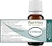 Cypress Essential Oil 10 ml 100% Pure Undiluted Therapeutic Grade