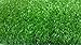 PZG Artificial Grass Rug w/ Drainage Holes & Rubber Backing | 2-Tone Realistic Synthetic Grass Mat | Extra-Heavy & Soft Pet Turf | Lead-Free Fake Grass for Dogs or Outdoor Decor | Size: 12' x 6'