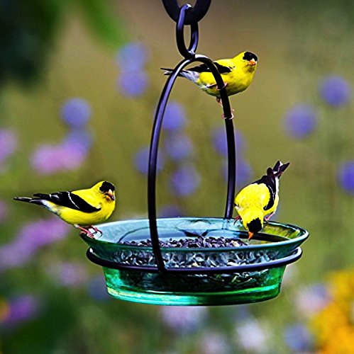 Glass Flat Bottom Hanging Wild Bird Baths G446M Clear Decorative Birdseed Container Feeder. Romantic Decor & More