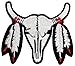 Native American Indian skull DIY Applique Embroidered Sew Iron on Patch NAI-002