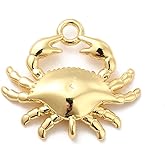 Clotiry 10Pcs Brass Crab Charm Golden Marine Lobster Charms Sea Animal Pendants for Jewelry Making Bracelets Crafts