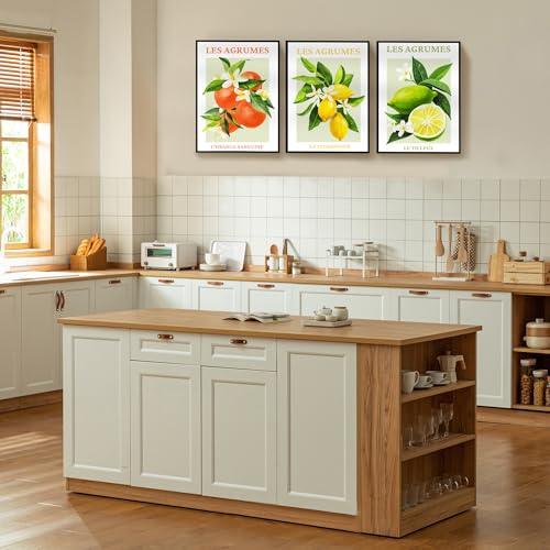 hyidecorart Black Frame Citrus Pictures Decoration Living Room Modern, Fruits Lemon Orange Blood Pictures Decoration Bedrooms Dining Room Office Hallway Kitchen and Bathroom
