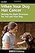 When Your Dog Has Cancer: Making the Right Decisions for You and Your Dog