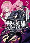俺は影の英雄じゃありません! 第3巻