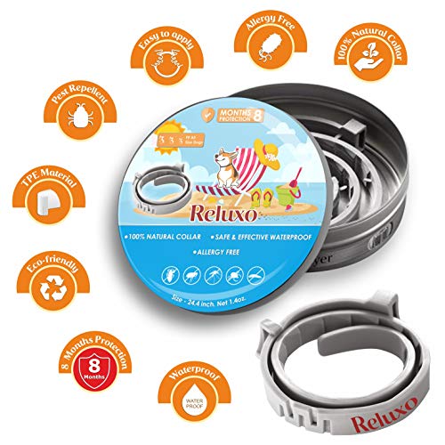 Dog Flea and Tick Collar - Flea and Tick Prevention for Dogs Up to 1 Year Easily Adjustable and Waterproof for Large Small Dogs Flea and Tick Control - Natural Dog Flea Collar for Pet 24.5