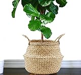 VNCraft Foldable Large Seagrass Belly Basket with Handles for Storage, Nursery Laundry Tote Beach Bag Plant Pots Cover Indoor Decorative
