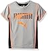 PUMA Big Boys' Athletic Tee Shirts, Lt Heather Grey, Large (14/16)