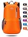 Venture Pal 25L Travel Backpack - Durable Packable Lightweight Small Backpack Women Men
