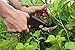 Sleek Garden Professional Sharp Bypass EZ-Cut Garden Pruning Shears Comfort Plus Handheld Gardening Tools Pruner,Rust Proof Blades Clippers/Scissors for The Garden Awesome Cushion & Shock Absorberthumb 1