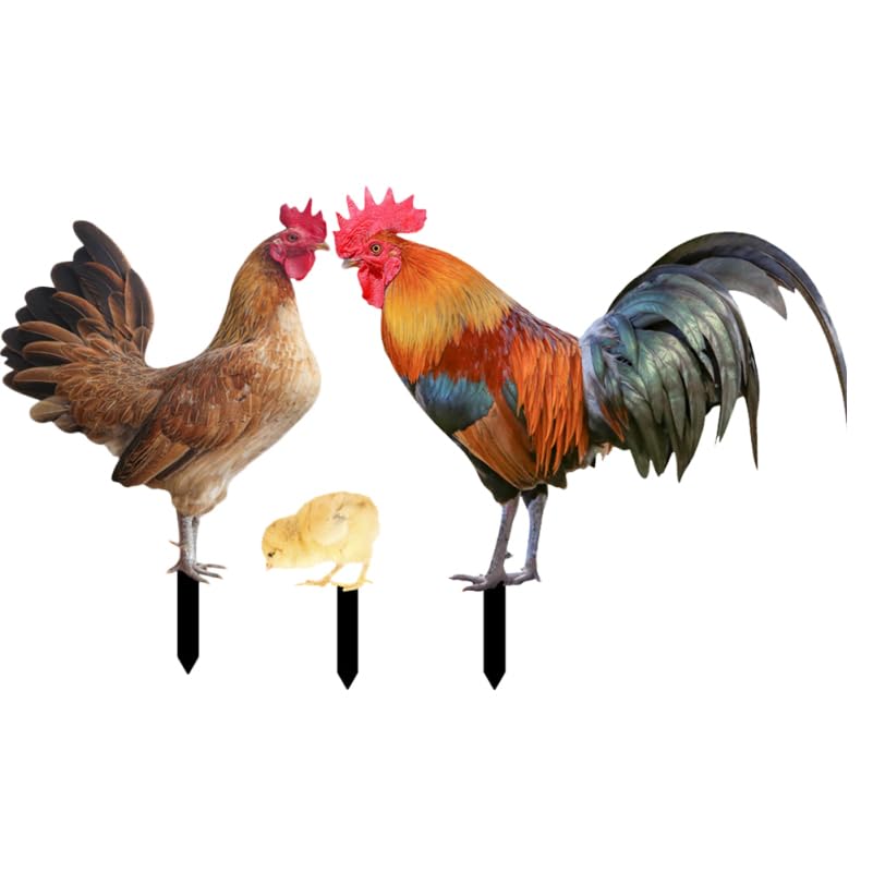 Yardwe 1 Set Decorative Garden Inserts Outdoor Decoration Rooster Decor Hen Acrylic