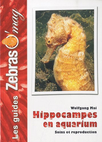 Hippocampes