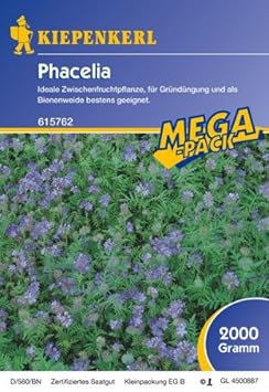 Phacelia 2 Kg