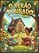 Livro O Natal dourado de Solara e Luli.: Natal tropical