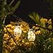 Solar Mason Jar Light ,20Leds String Glass Lantern Outdoor Hanging, Decorative String Fairy Lamp for Patio Garden Party