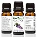 BioFinest Clary Sage Oil - 100% Pure Clary Sage Essential Oil - Premium Organic - Therapeutic Grade - For Aromatherapy - Boost Confidence -Improve Hormonal Balance - FREE Essential Oil Guide (10ml)