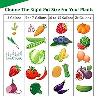 PEYOU Bolsa de Cultivo de Plantas 20L(5 Piezas), Saco para Plantas ...