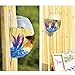 Sweetsea Hanging Wall Mounted 1 Gallon Fish Tank Bowl Aquarium Wall Decor Plant Fish Bubble - Clear (Large)