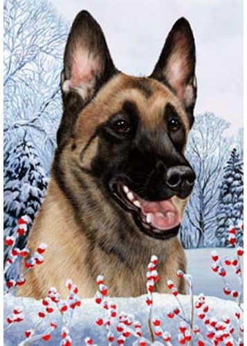 belgian malinois full size