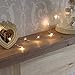 Lihiton Led String Lights 100 LEDs Decorative Fairy Battery Powered String Lights, Copper Wire Light for Bedroom,Wedding(33ft/10m Warm White)
