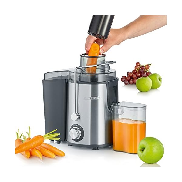 Severin Multi-Purpose Electric Juicer with 400 W of Power ES 3566, Brushed Stainless Steel-Black