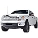 EAG 09-14 Ford F-150 Raptor Grille Chrome ABS Replacement Grill With Shell