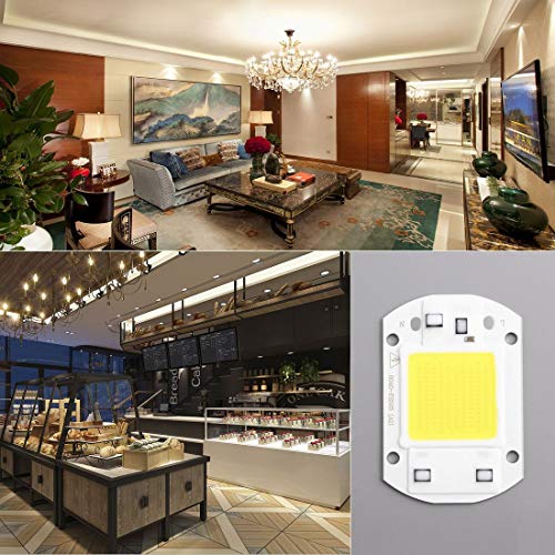 30W COB LED Chip F6040 AC110V AC220V Input IP63 Smart Integrated High Luminous LED Chip for DIY LED Floodlight - ColdWhit