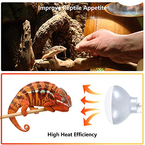 lizard heat bulb