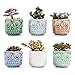 SUN-E 2.75 Inch Ceramic Owl Pattern Succulent Cactus Plant Pots Flower Pots Planters Containers Window Boxes Bonsai Pots Perfect for Candle Holder with Small Hole 6 Colors in Set