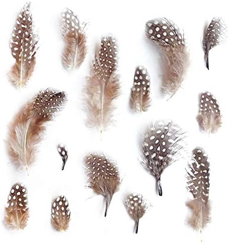 Pack of 20 paper napkins Picture of different feathers, natural Speckled, 33 x 33 cm