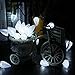 Brizled C9 Christmas Lights Cool White 16FT 25 LED 120V UL Certified Faceted Outdoor Christmas String Lights Connectable Xmas Tree Light for Tree, Holiday, House Decor