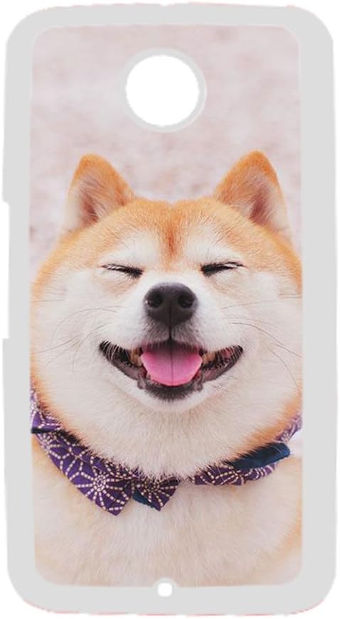 google shiba inu