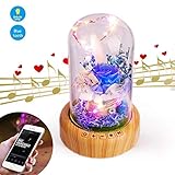 Moon Harbor Preserved Forever Rose Bedside Lamp Bluetooth Speaker, Unique Present for Her, Women Girlfriend on Valentine Day, Enchanted Flower LED Night Light Music Player in Glass Dome, Blue Rose
