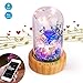 Moon Harbor Preserved Forever Rose Bedside Lamp Bluetooth Speaker, Unique Present for Her, Women Girlfriend on Valentine Day, Enchanted Flower LED Night Light Music Player in Glass Dome, Blue Rose