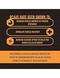 Helix BCAA_Ripped: 8.1.1 Ratio BCAA That optimizes Recovery and Utilization of Body Fat...