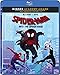Spider-Man: Into the Spider-Verse [Blu-ray]
